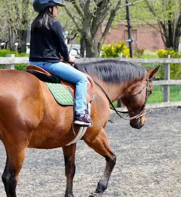 Photo de GallopNYC: Sunrise Stables
