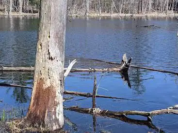 Photo de Horse Hill Nature Preserve