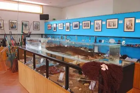 Photo de Museu Adão Soares Rei dos Congros
