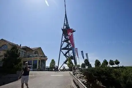 Photo of Tour d’observation d’Uetliberg