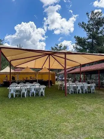 Photo de Kimiz at çiftliği