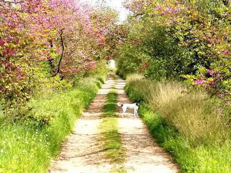 Photo de Paseo de los Ãrboles del Amor