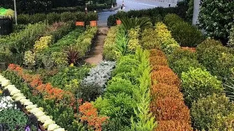 Photo de Information Botanical Landscape