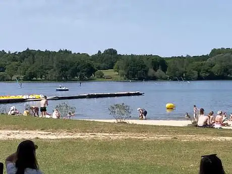 Photo de Beach from the Lake