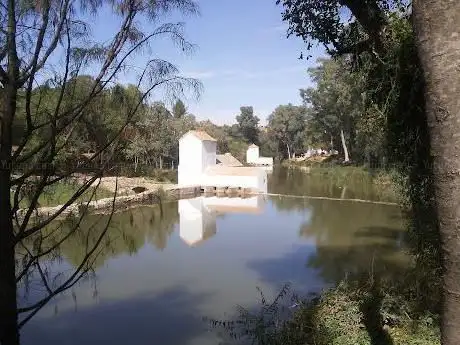 Photo de Parque Oromana