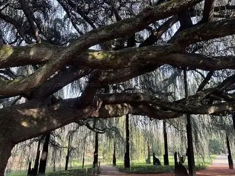 Photo of Parc Vallée aux Loups. Châtenay Malabry