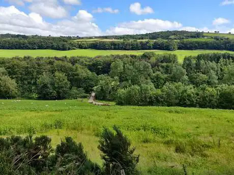 Glenarm Forest