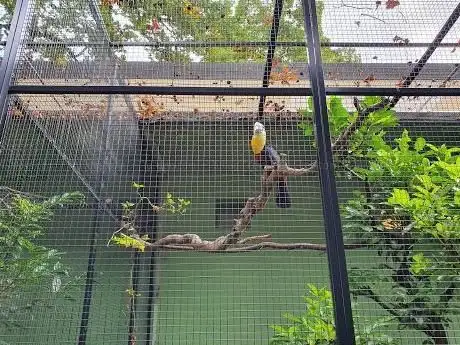 Photo of Volière de Zurich