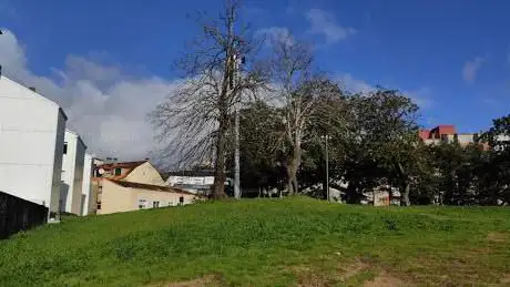 Photo de Bosque de los Desamparados