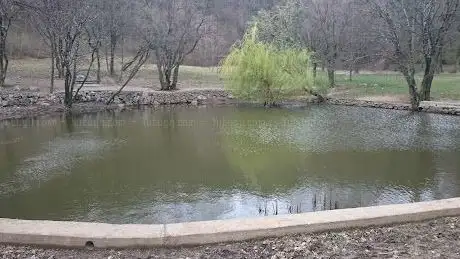 Photo de Vela Straza