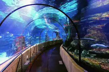 Photo de Aquarium Barcelona