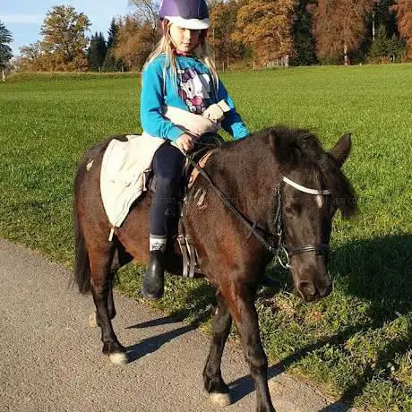 Photo de Ponyhof Kunterbunt
