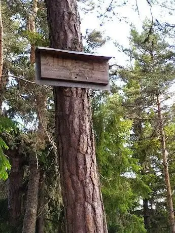 Photo de Pleschutzkogel