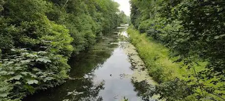 Photo de Bois de la Bomerée