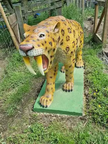 Photo de ARK Wildlife & Dinosaur Park