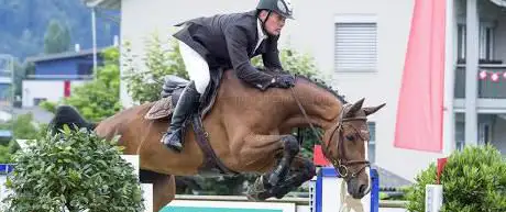 Photo de Stall Moser