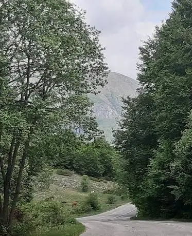 Photo de Valico della Forcella