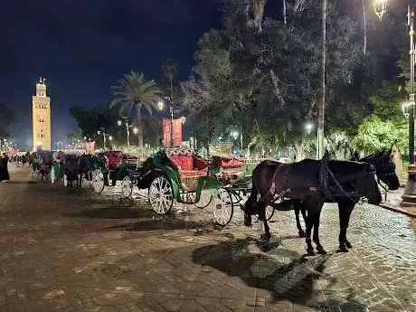 Photo de Calèches Jemaa El-Fnaa