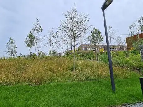 Photo de The Wilds Eco Park
