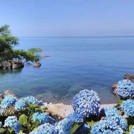 Photo de Bodimeli Beach and Tea Garden