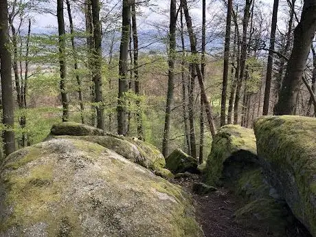 Photo de Rogelstein