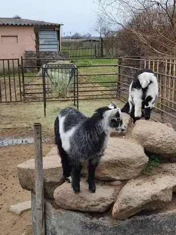 Photo de Güterglück Zoo
