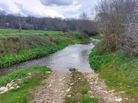 Photo of Patronat Municipal de Turisme de Vila-seca