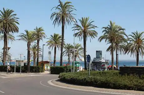 Photo de Homenatge als Pescadors