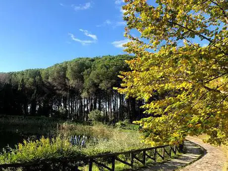 Photo de Parco Dossi-Comuni Di Lamezia Terme