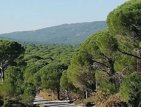Photo de İzmir/bergama/Kozak Yaylasi