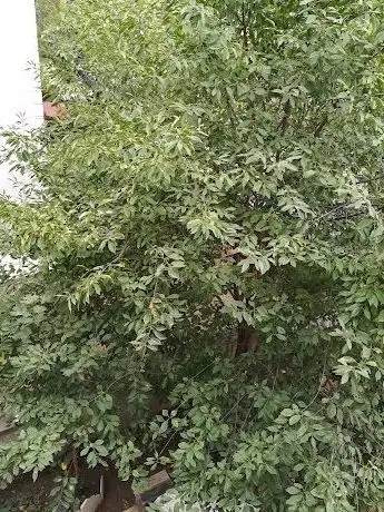Photo de Mimar Sinan Çocuk Parkı