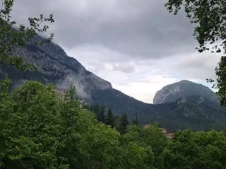 Photo de Pinargozu zafer
