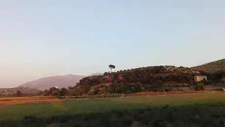 Photo de El Ãrbol De Elsa