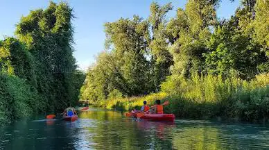 Photo de Louloutre canoë
