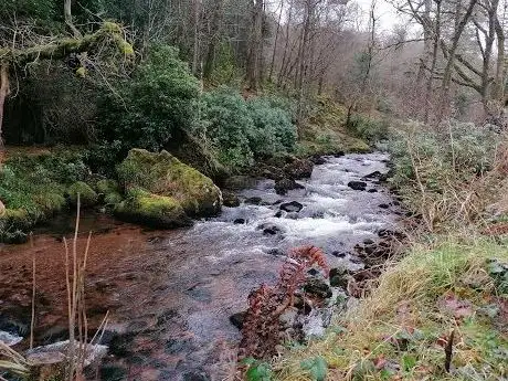 Photo de Glengarra Wood Forest Recreational Area