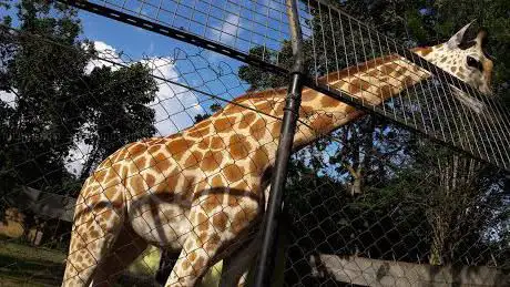 Photo de University of Ibadan Zoological Garden