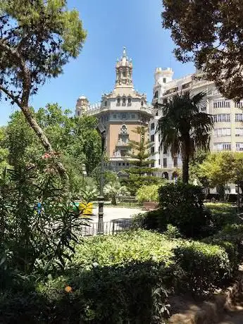 Photo de Ficus Centenarios de la Glorieta