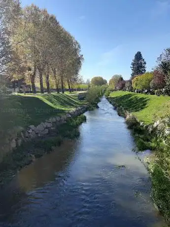 Photo de Paseo Pintor Javier Cortés