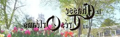 Photo of La Chasse au TrésOrléans | Jeu de piste et Escape Game en extérieur à Orléans