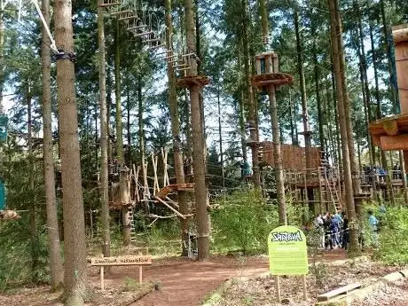 Photo de AvaTarZ climbing forest