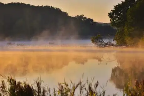 Photo de Weir Wood Bird Hide