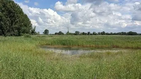 Photo de Altrhein Erlebnis Pfad