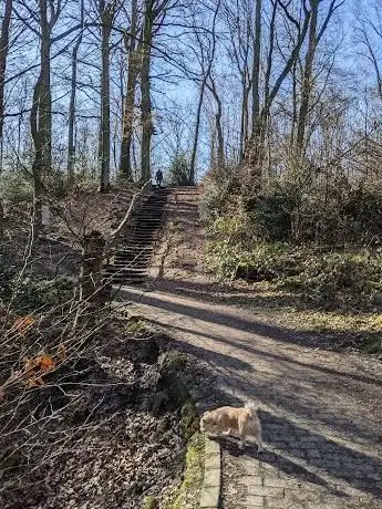 Photo de Rumbachtal Gothenbach Schlippenbach