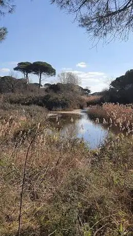 Photo de Dune costiere di Porto Corsini