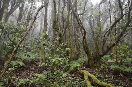 Photo de Sendero Monte Aguirre