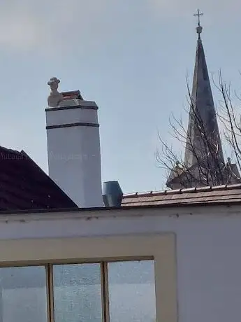 Photo de Purbacher Türke