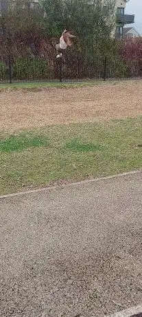 Ashbourne Playground
