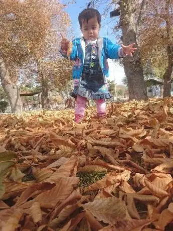 Photo de Child park
