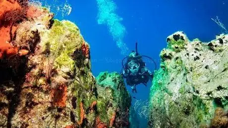 Photo de DATÇA REEF DIVING Dalış Merkezi