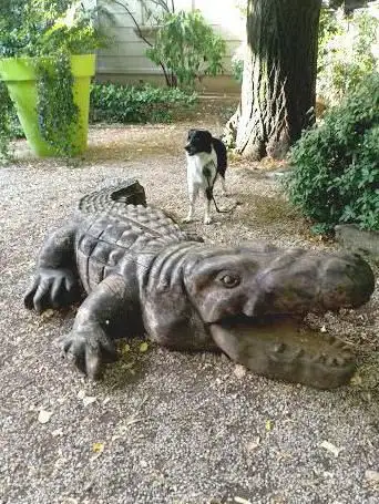 Foto de Margueritte Long Garden